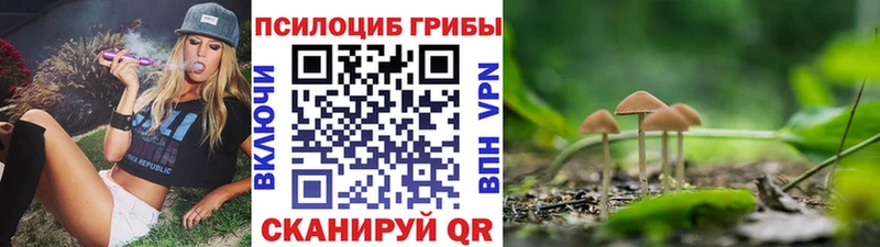 Галлюциногенные грибы Cubensis  Чулым 