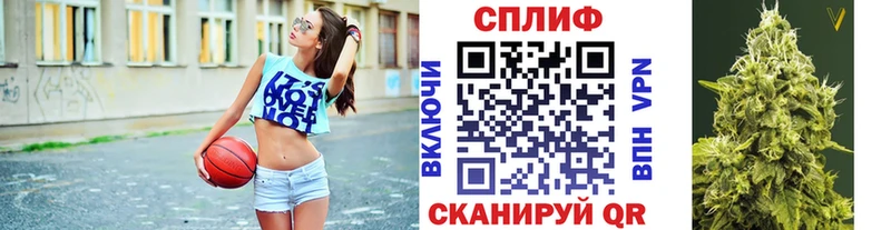 Бошки Шишки индика Чулым